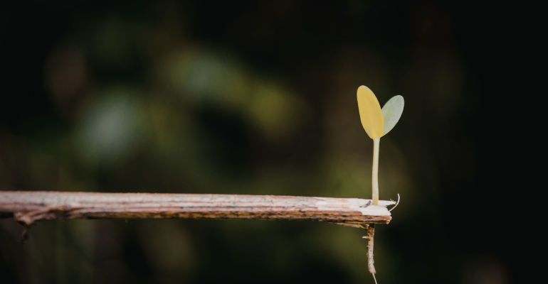 There are many variations of passages of available but majority have alteration