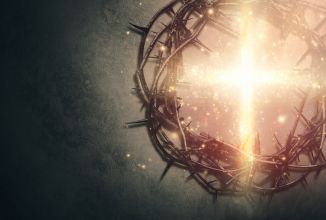 Raise Funds For Clean & Healthy Food